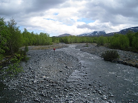 Abisko Juni 2009 dag 3 - 16.jpg